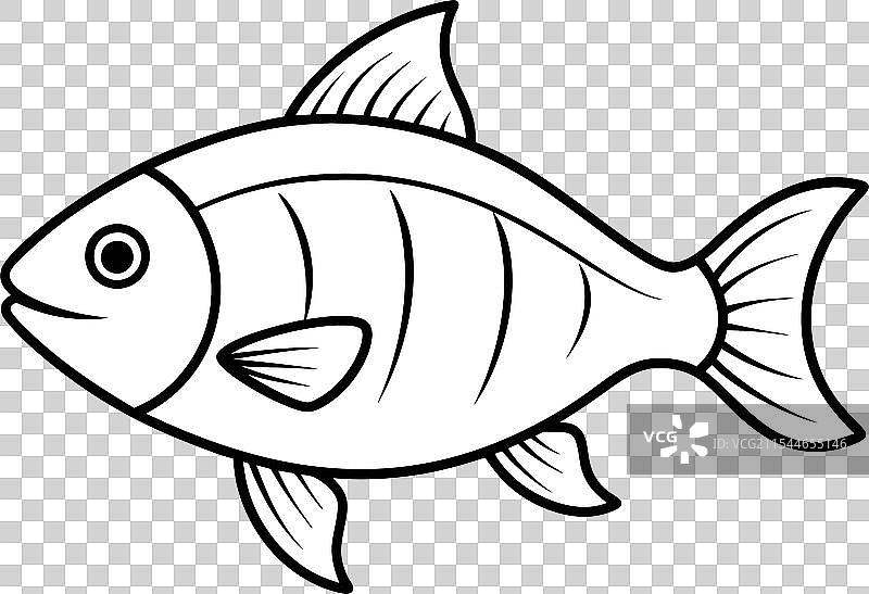 鱼的轮廓 4图片素材