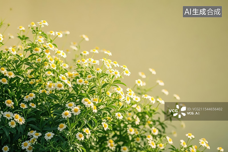 【AI数字艺术】盛放的鲜花，清晨的希望图片素材