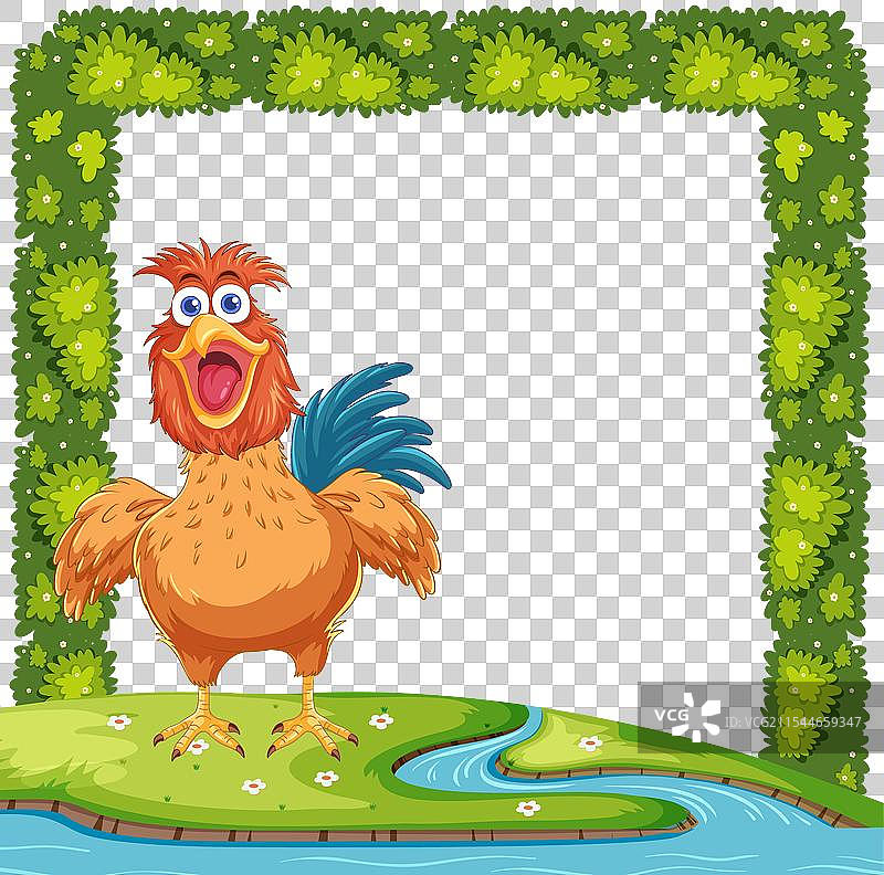 快乐的小鸡站在溪水旁图片素材