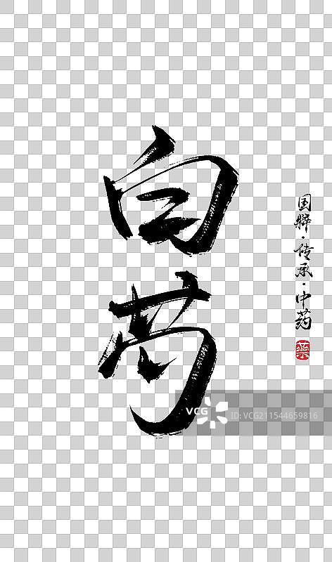 白芍书法手写艺术字体（传统文化传承中医中药）图片素材