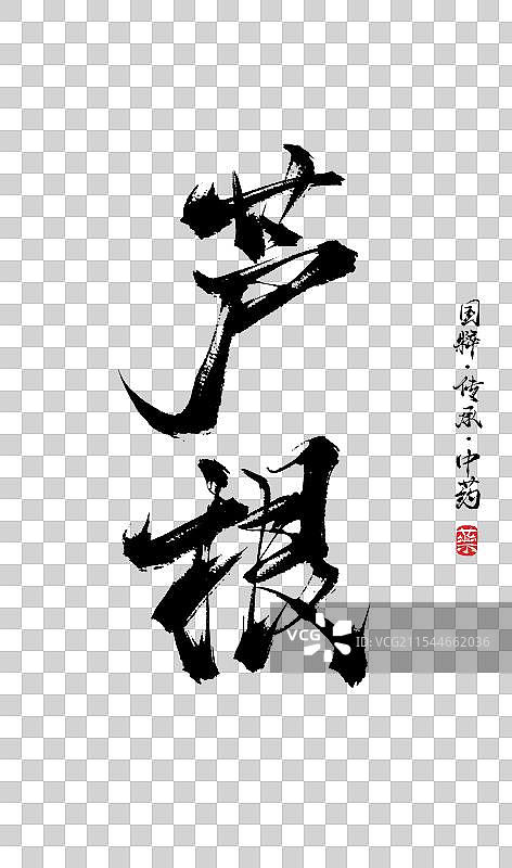 芦根书法手写艺术字体（传统文化传承中医中药）图片素材