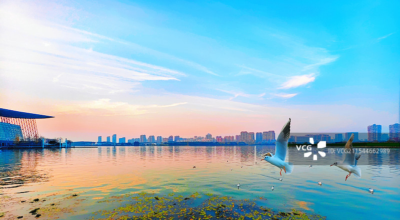 《无锡蠡湖》图片素材