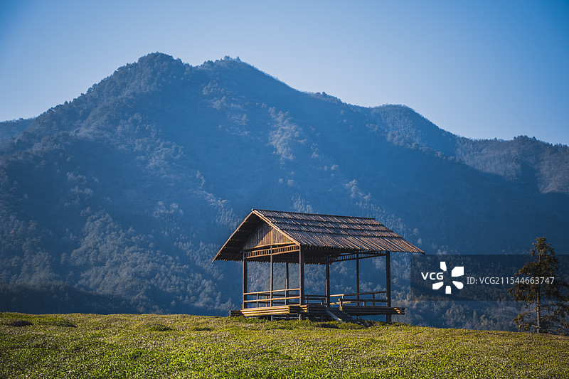 大山里的茶园一角图片素材