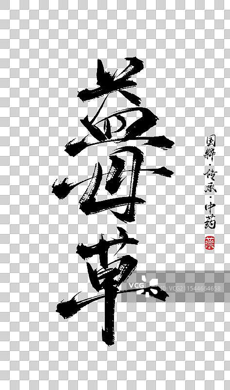 益母草书法手写艺术字体（传统文化传承中医中药）图片素材