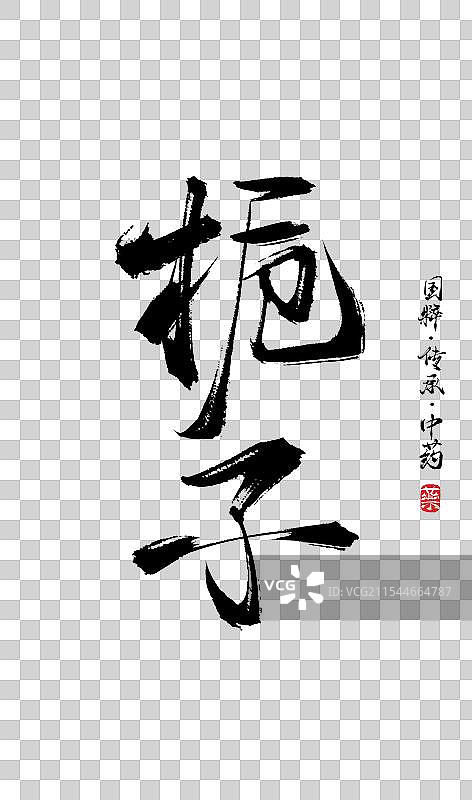 栀子书法手写艺术字体（传统文化传承中医中药）图片素材