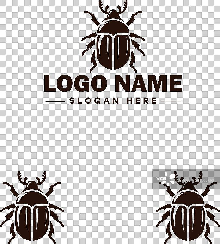 六月甲虫蜜蜂商标图标，用于商业品牌应用图片素材