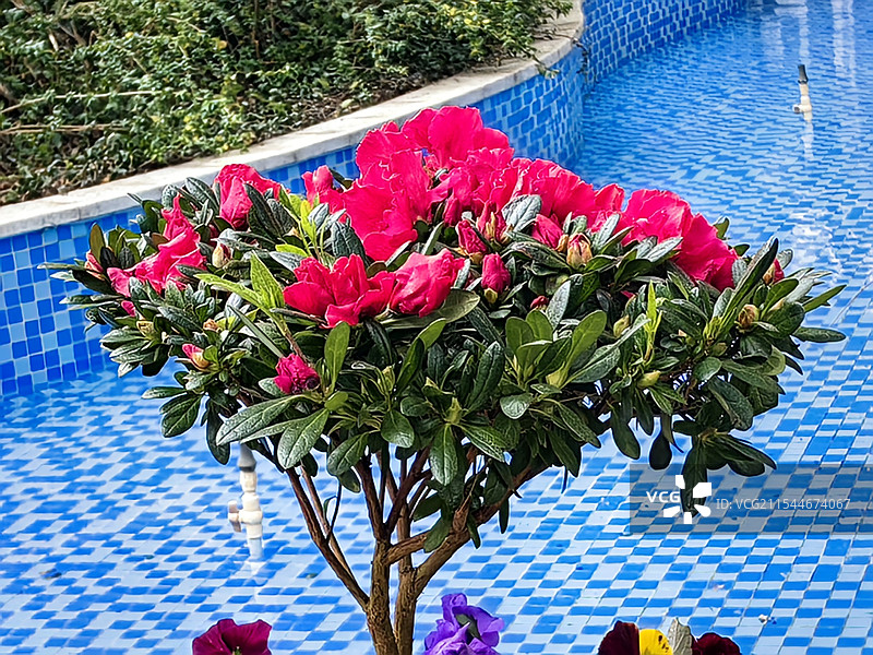 上海市，普陀区石泉东路图片素材