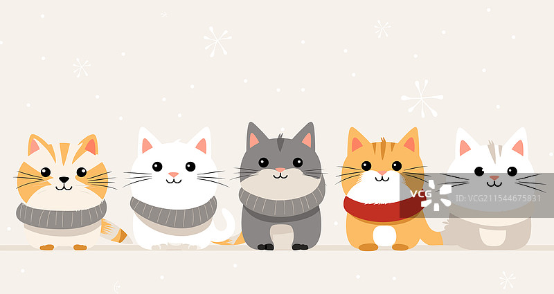 五只可爱的猫咪围巾并排坐着，冬季主题图片素材