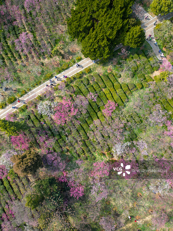 航拍南京梅花山紫金山天文台图片素材