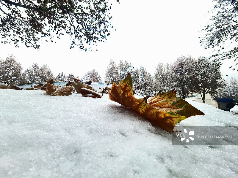 2025年的第一场雪图片素材