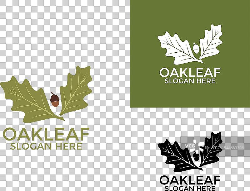 绿橡树叶标志设计模板，绿色橡树叶图片素材