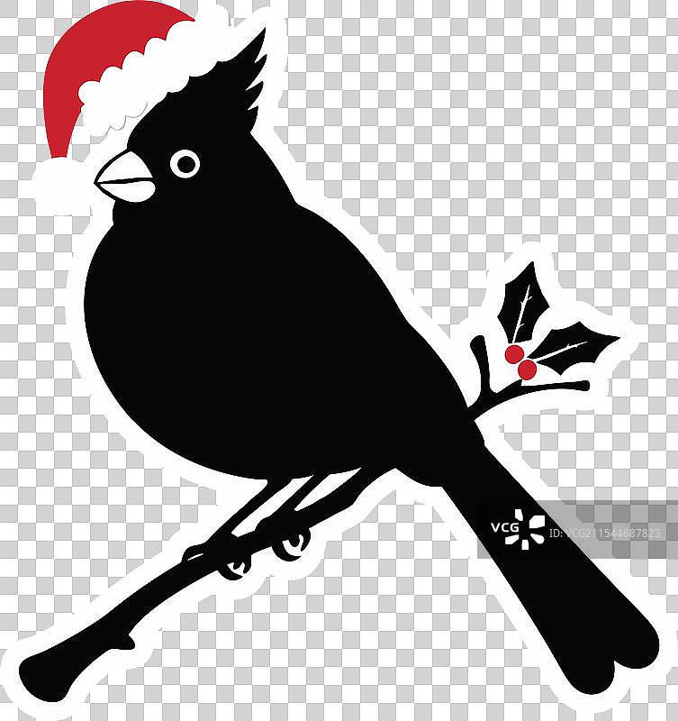 圣诞节中的红雀黑色剪影图片素材