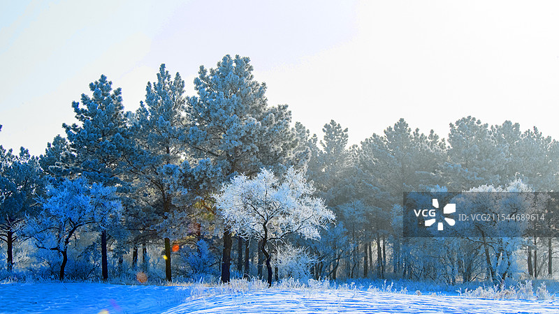 黑龙江齐齐哈尔：银装素裹明月岛图片素材