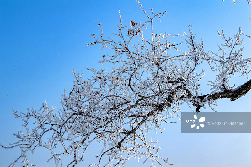黑龙江齐齐哈尔：银装素裹明月岛图片素材