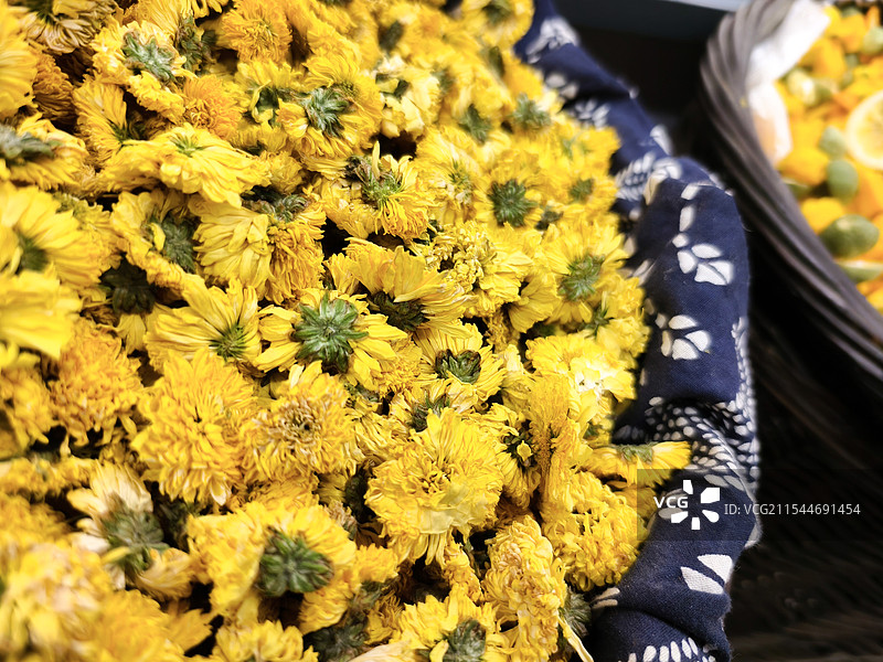 菊花茶图片素材