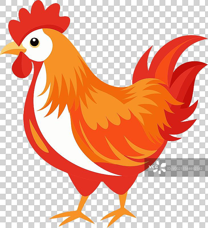 鸡的彩色艺术图片素材