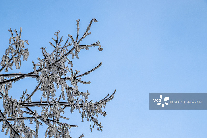 北国雾凇图片素材