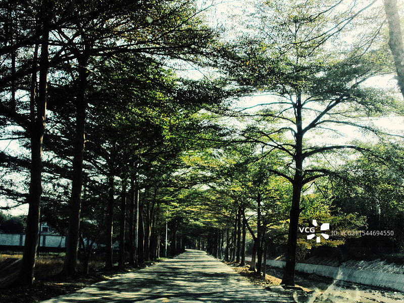 路上的光影图片素材