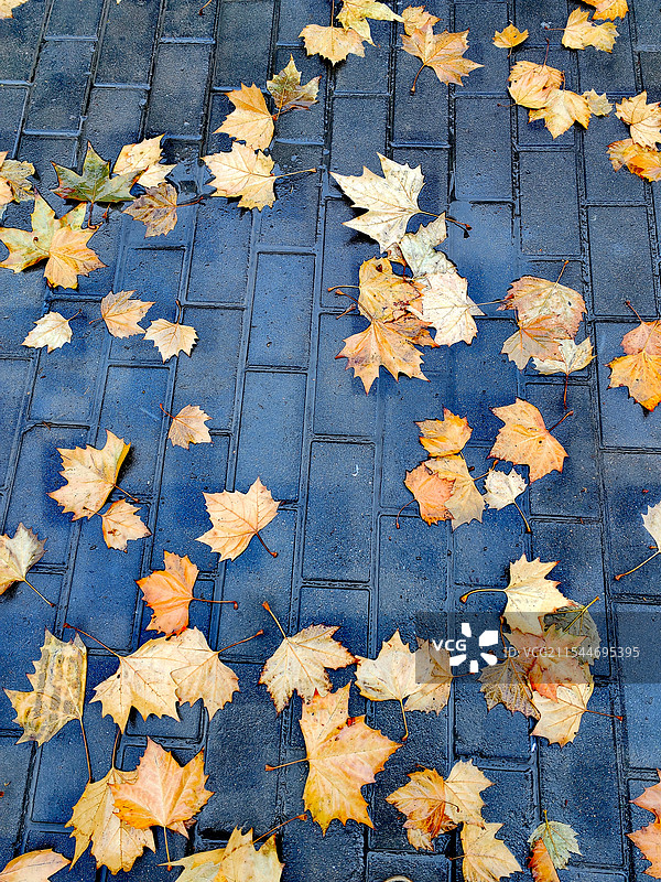 大自然的“花布”图片素材