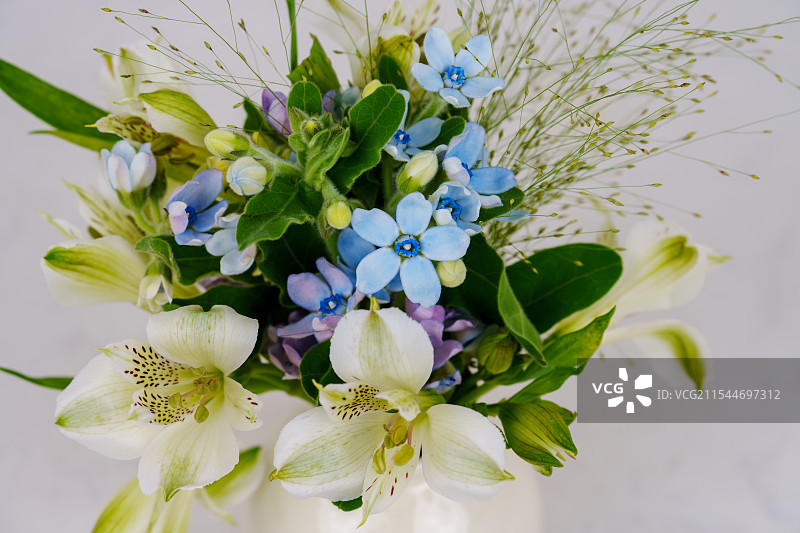 白色花瓶中盛放着多彩花朵的特写图片素材