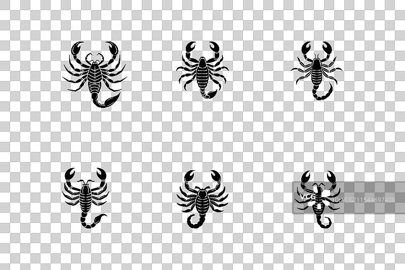 蝎子标志和图标集合图片素材