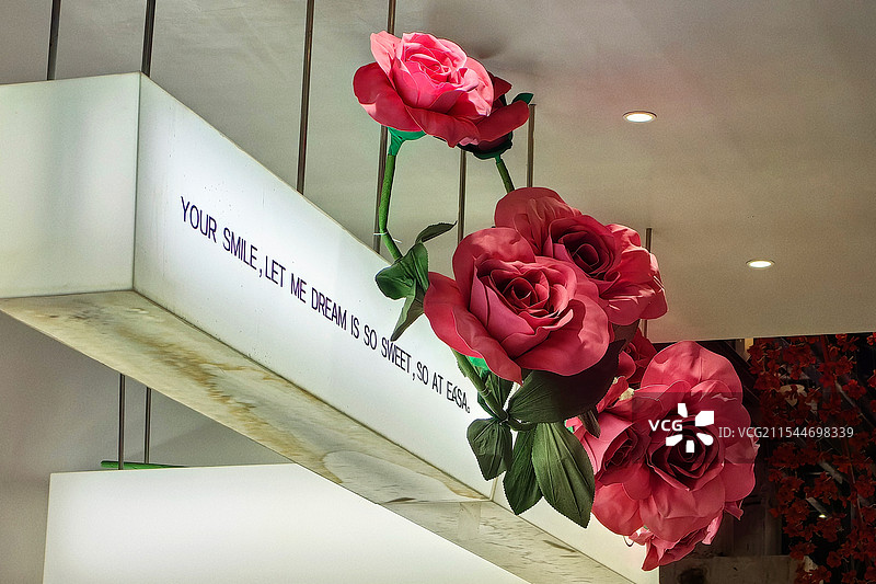 红月季花图片素材