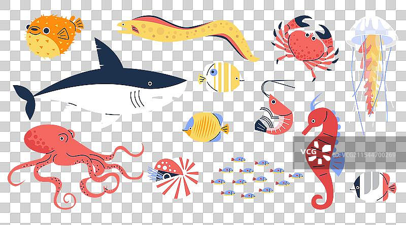 海洋或海洋生物水下野生动物图片素材