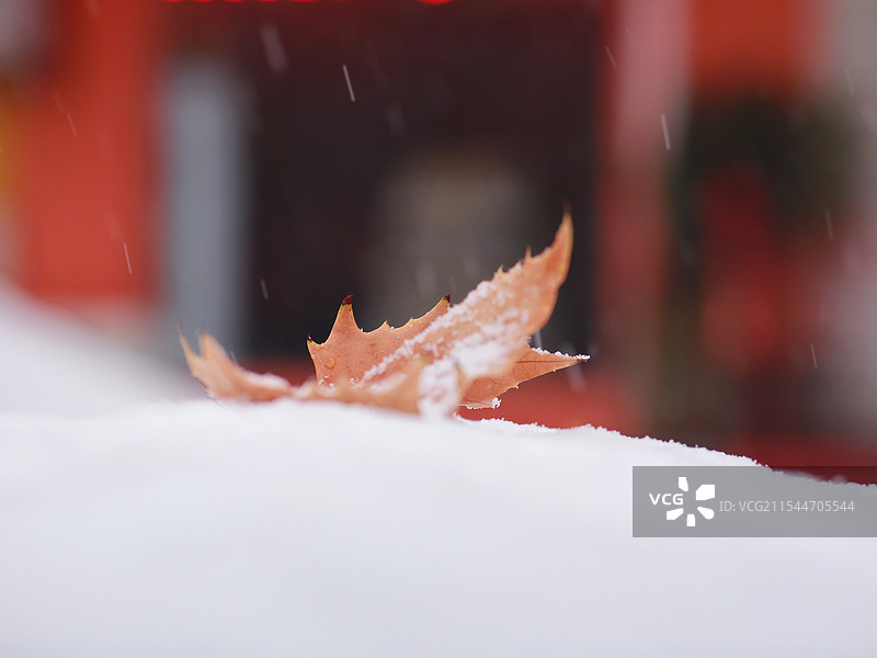 潇洒的谢幕图片素材