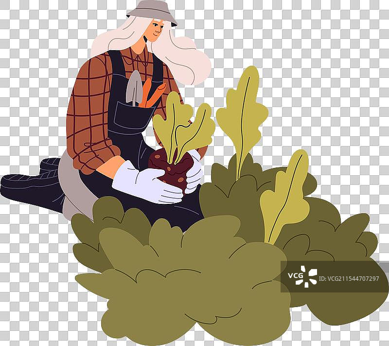 勤劳的农民关心园丁的叶子图片素材