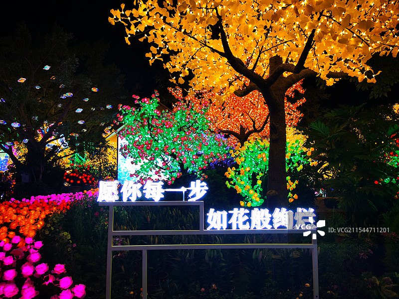 广西南宁青秀山新春灯展图片素材