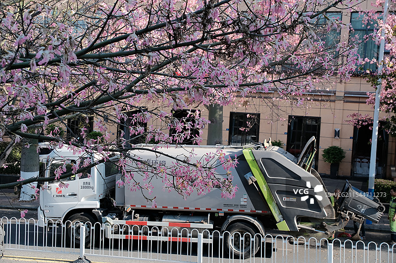 春天和城市美容师图片素材