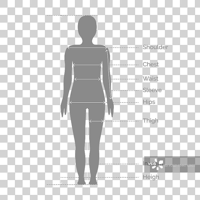 灰色中性身体测量比例图片素材