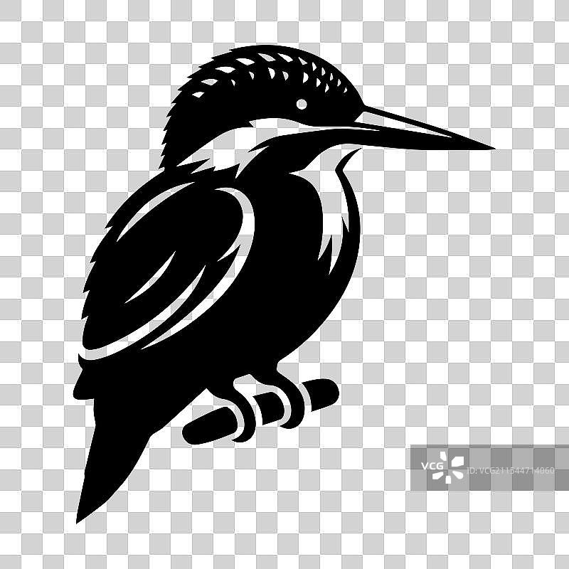 优雅的黑色翠鸟鸟类剪影图片素材