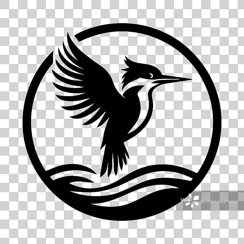 优雅的黑色翠鸟鸟类剪影图片素材