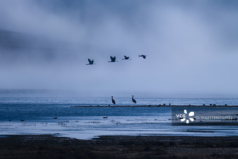 云南曲靖野生动物保护区图片素材