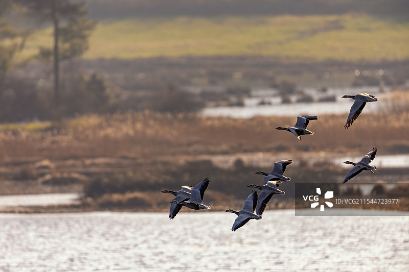 云南曲靖野生动物保护区图片素材