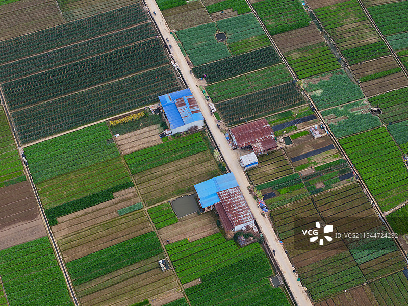 农田耕地乡村产业种植水稻田麦田农业素材图片素材