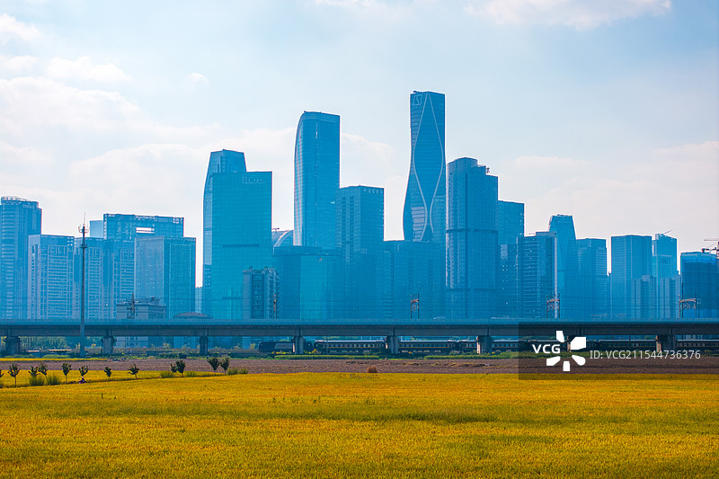 高铁驶过城市稻田公园图片素材