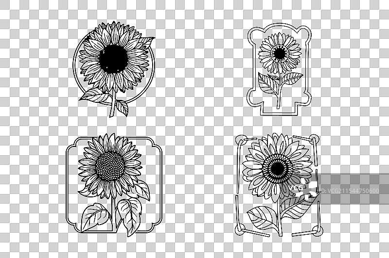 黑白涂色书的线条艺术图图片素材