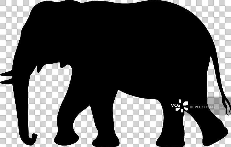 大象剪影图片素材