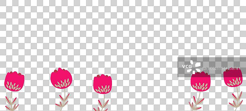 春天与郁金香，生日快乐图片素材