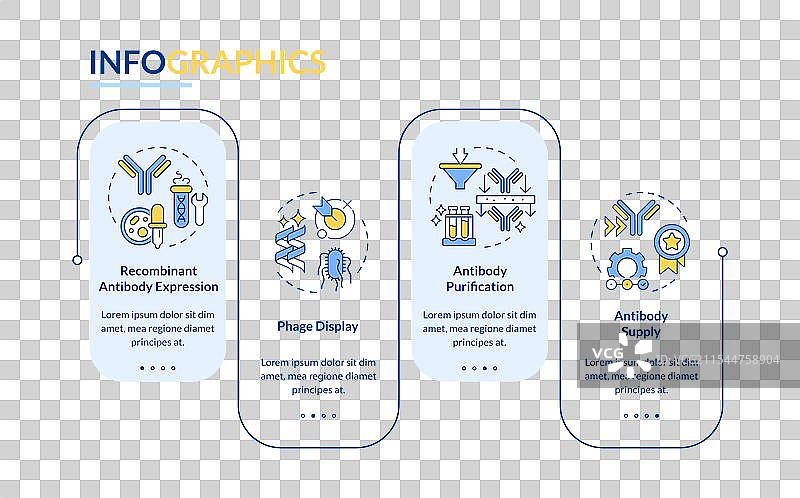 抗体生产过程矩形信息图图片素材