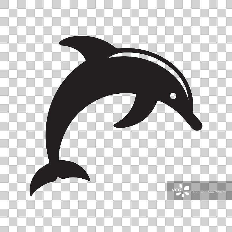 海豚维克托图片素材