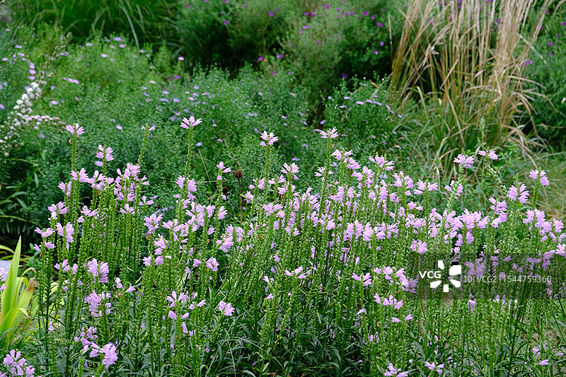 国家植物园图片素材