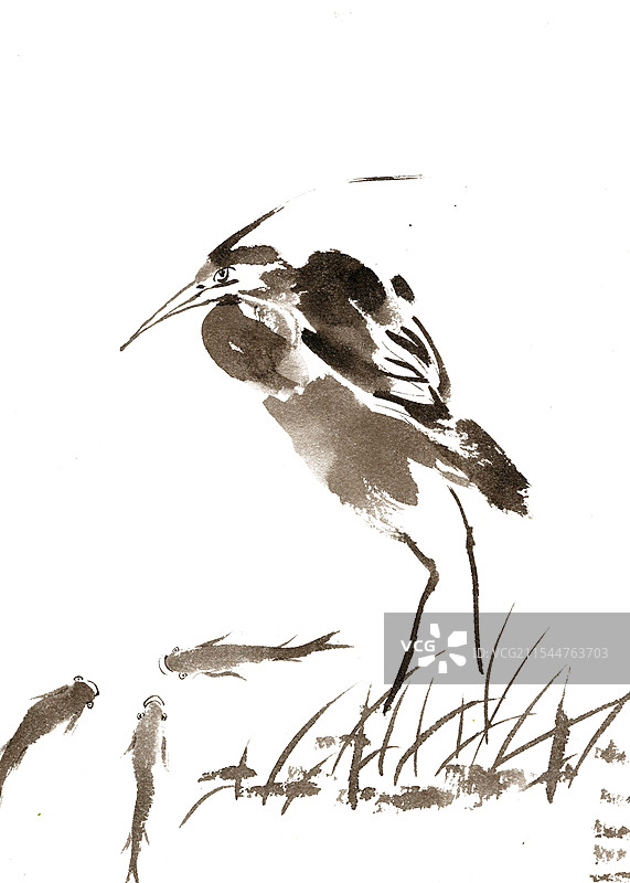 水鸟与鱼图片素材