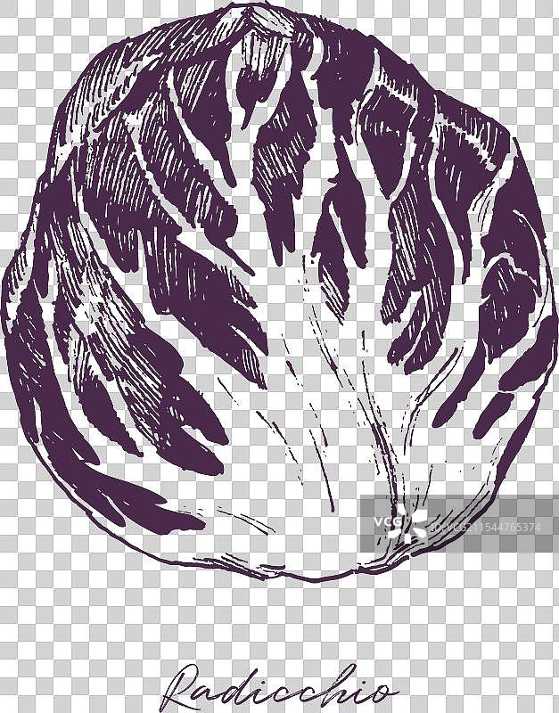 菊苣沙拉雕刻图片素材