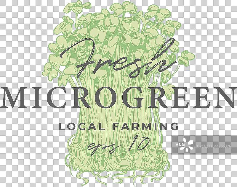 微型绿植雕刻徽章图片素材