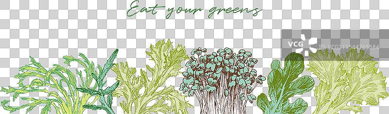 生菜叶雕刻的横向边框图片素材