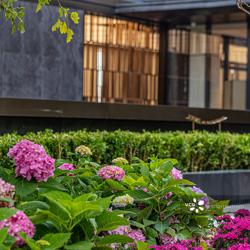 地产园林示范区美景景观图片素材