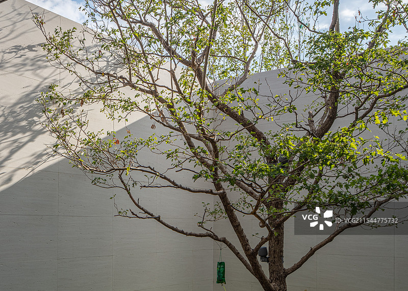 地产园林示范区美景景观图片素材